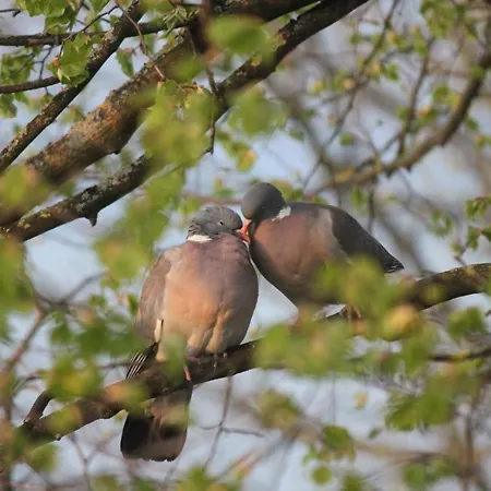 An Der Linde 2* Neckarsulm