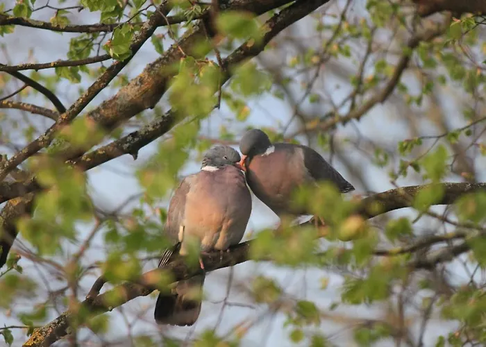 An Der Linde 2* Neckarsulm